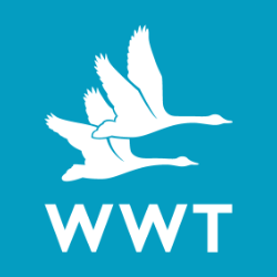 images/members-logos/wwt-logo.png